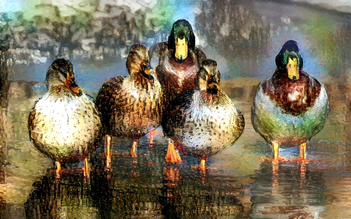 My Ducks All in a Row