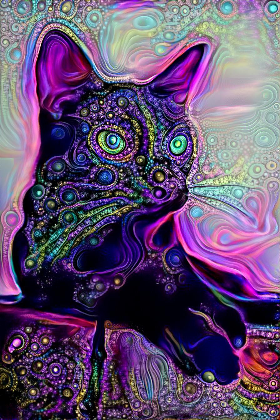 SwirlCat