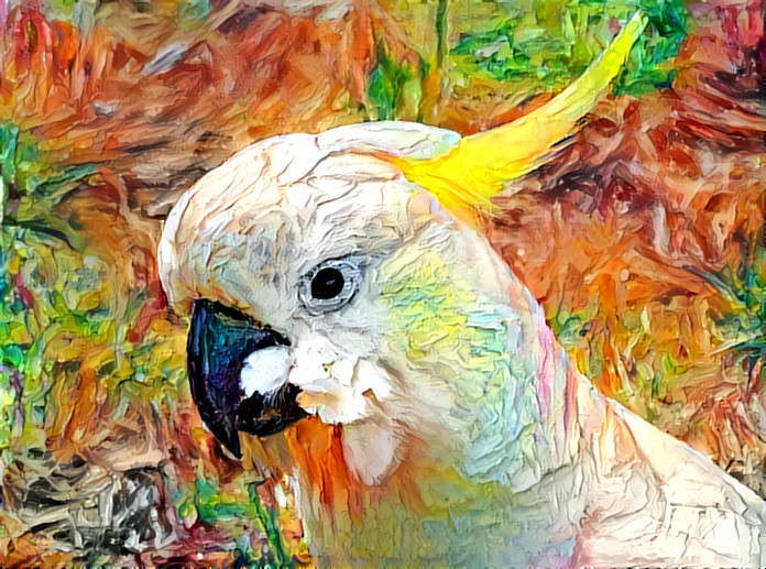 Cockatoo