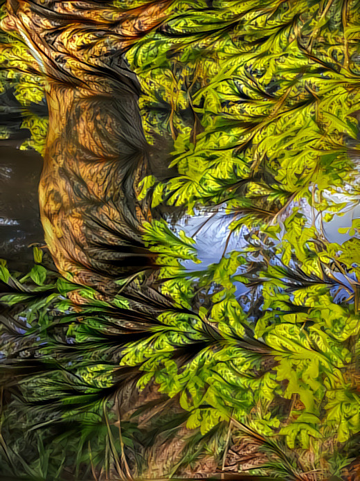 Tree near the water