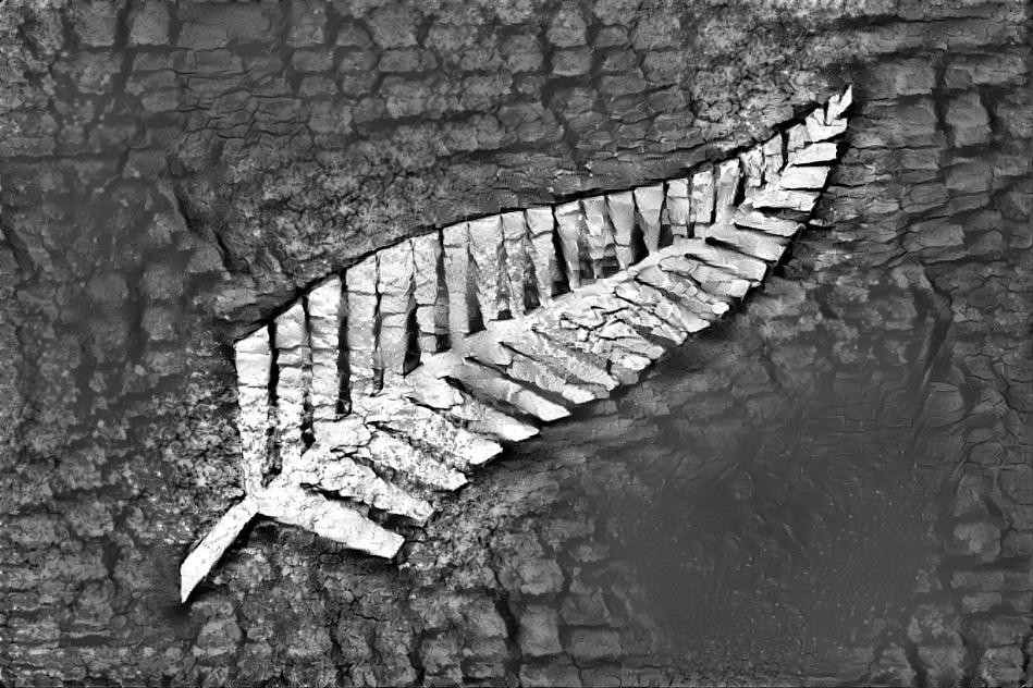 Silver fern micro shot