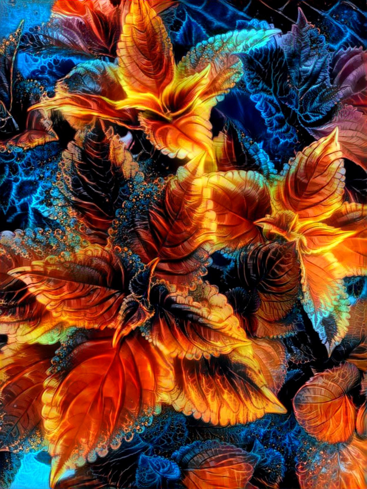 Coleus Deep Dream-style