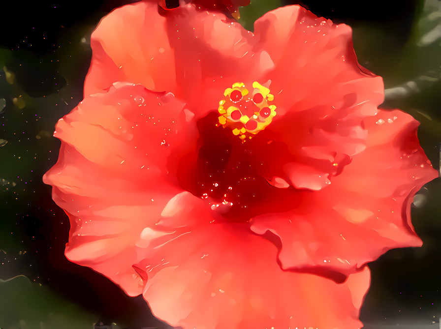 Hibiscus #11