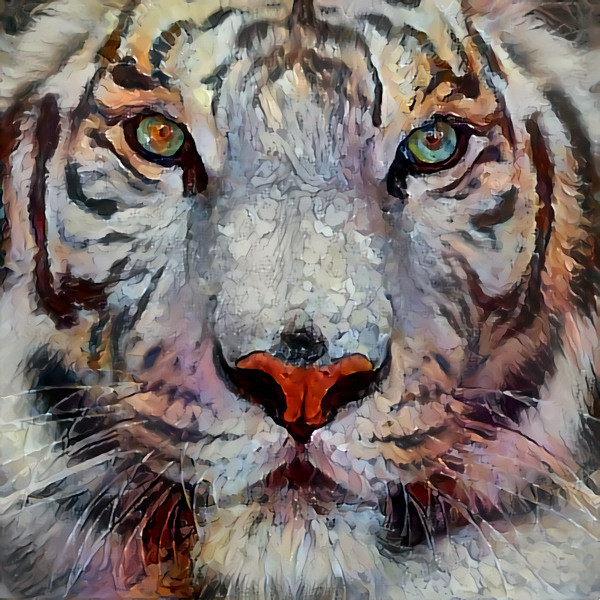 Tiger face