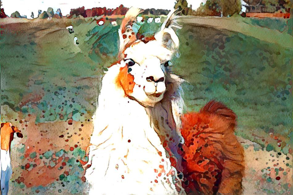 Lama Lama