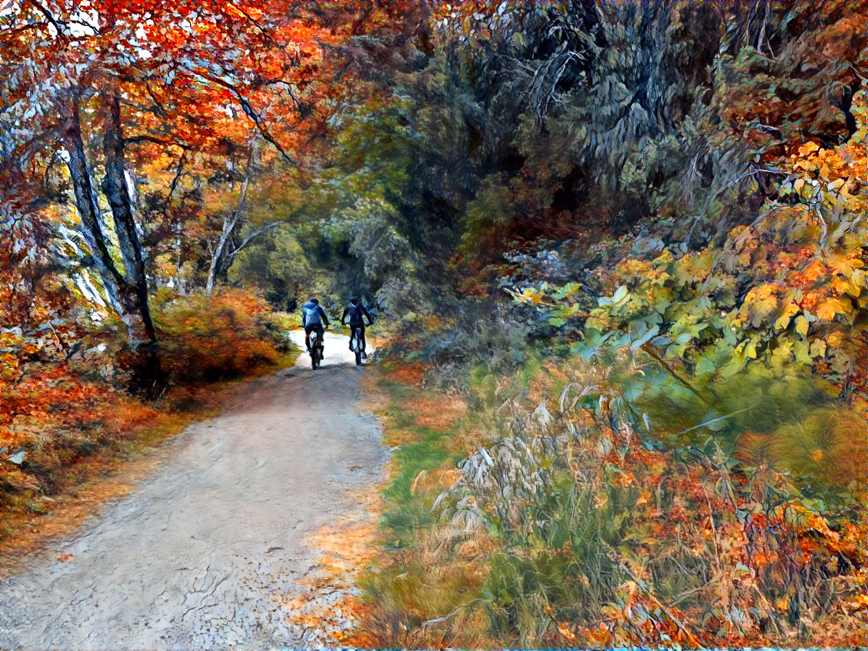 autumn trail