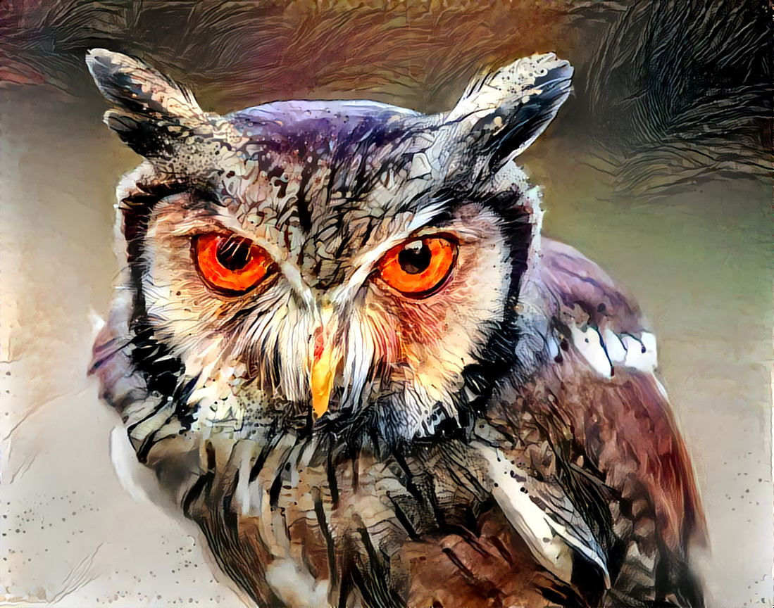 Feisty Horned Owl