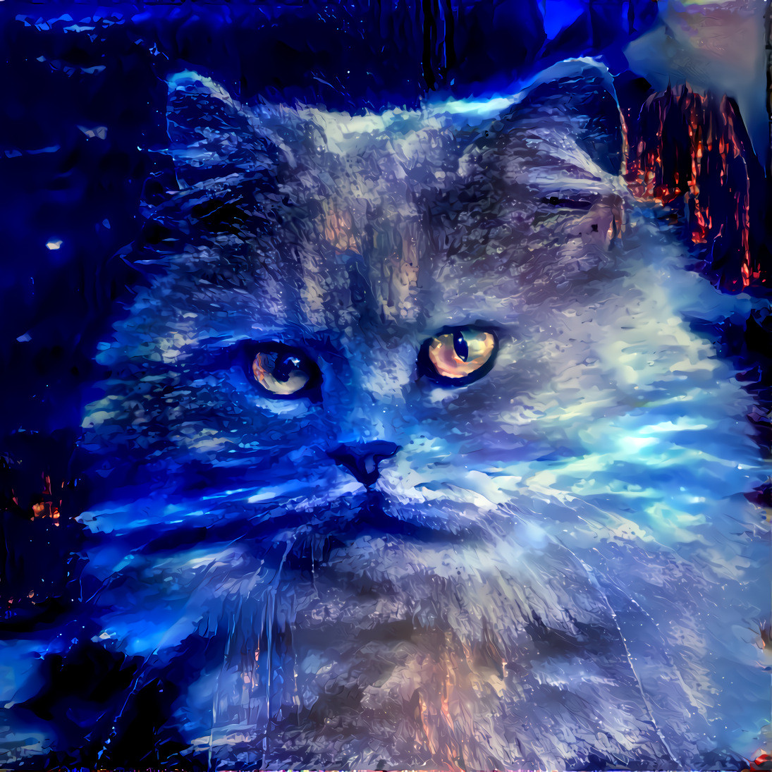 Image of cat, created by neural-network that called "This Cat Does Not Exist", edited with DDG.