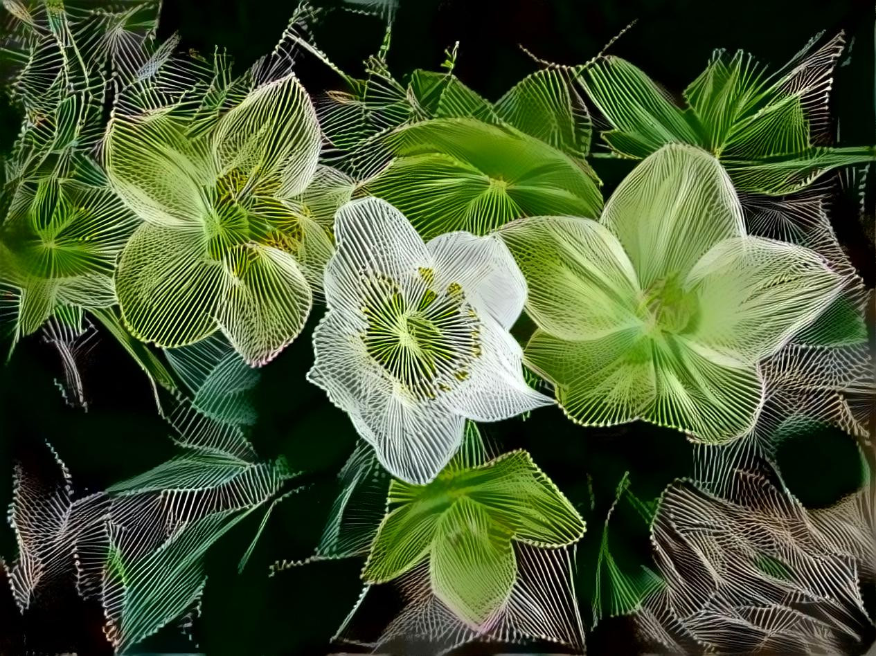 String Flowers