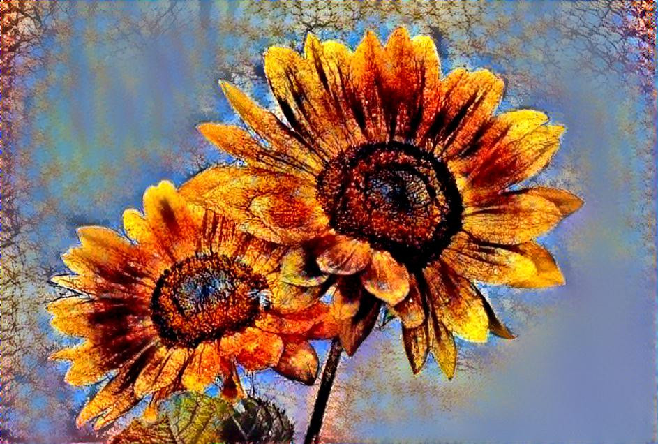 Sunflowers