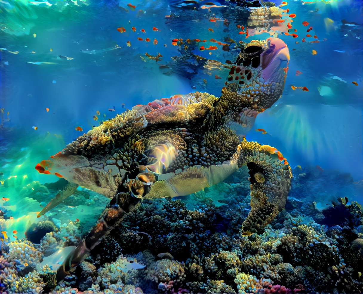 Sea Turtle