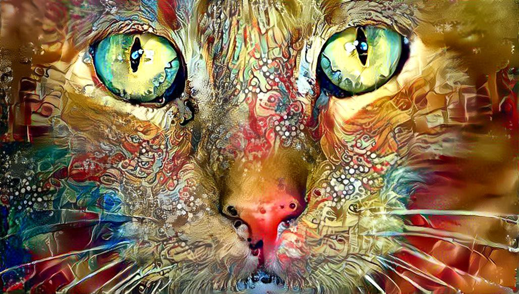 Lucidity Kitty