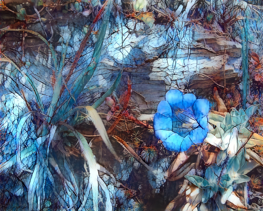 High alpine vegetation with gentian 