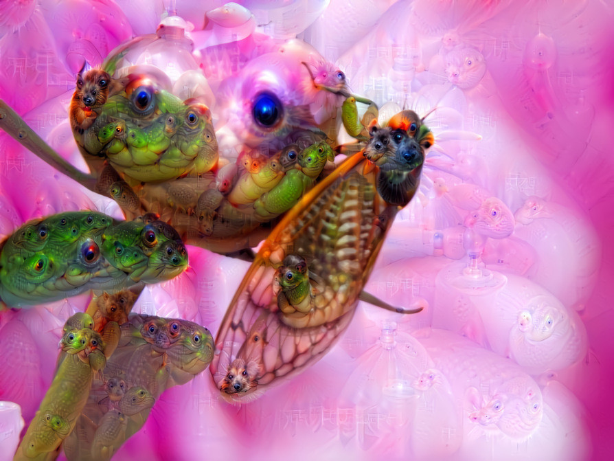 cicada on peony