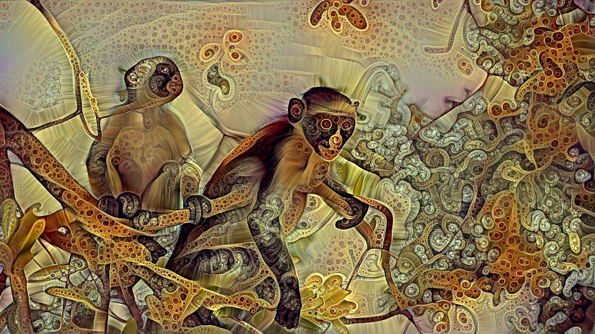 monkeys