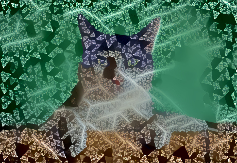 Fractal Cat