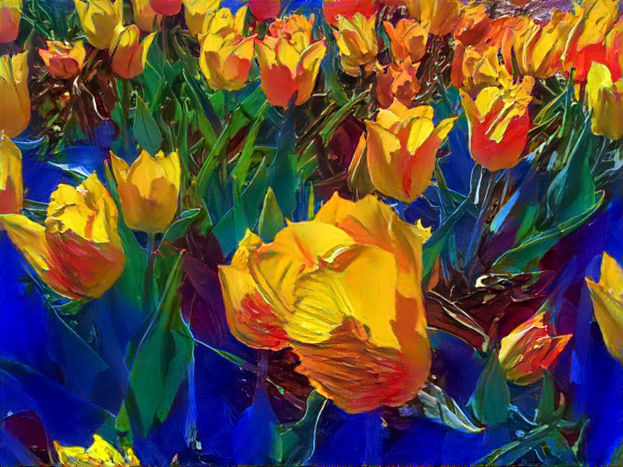 Tulips