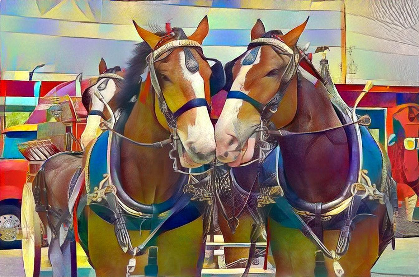 Budweiser Clydesdales