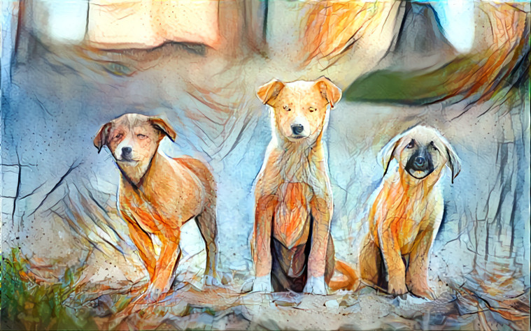 three puppies