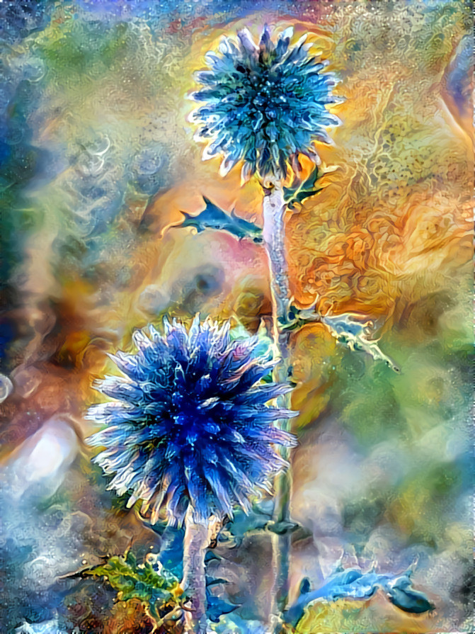 Globe thistles