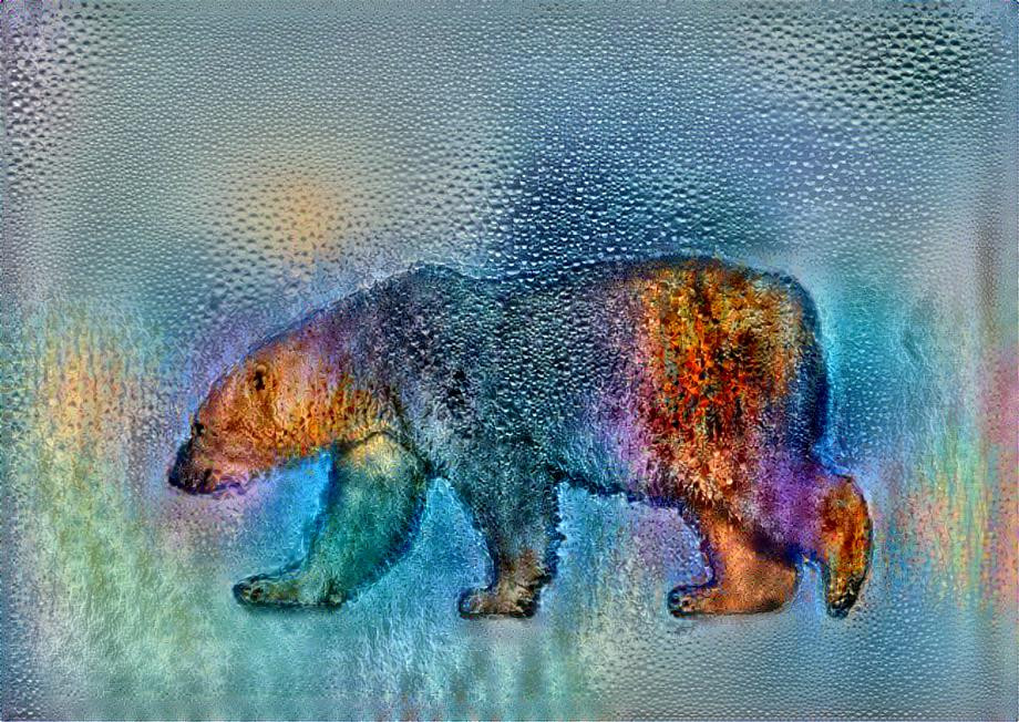 Rainy Bear