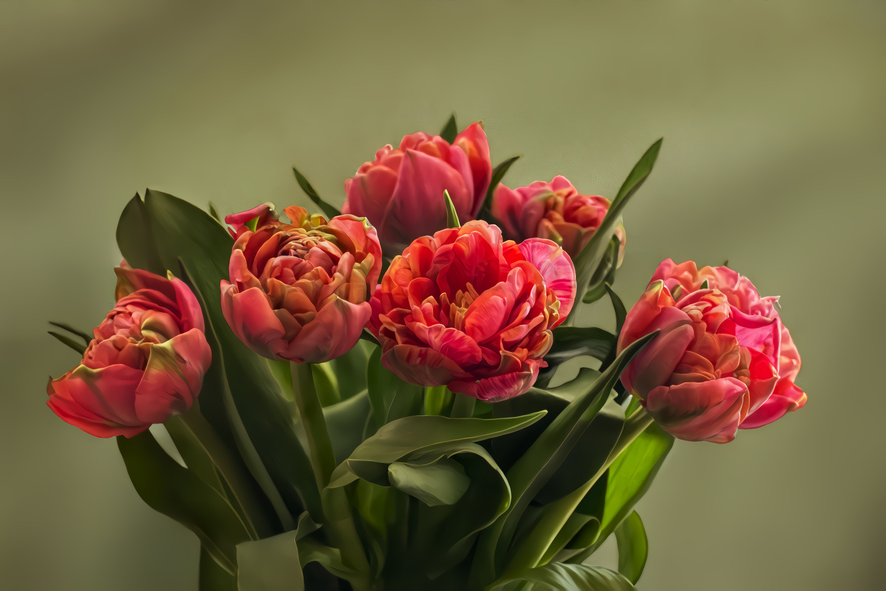 Bouquet of Tulips