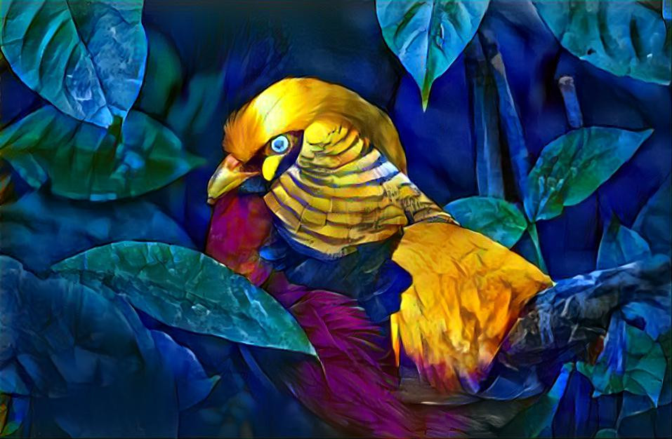 Tropical Bird