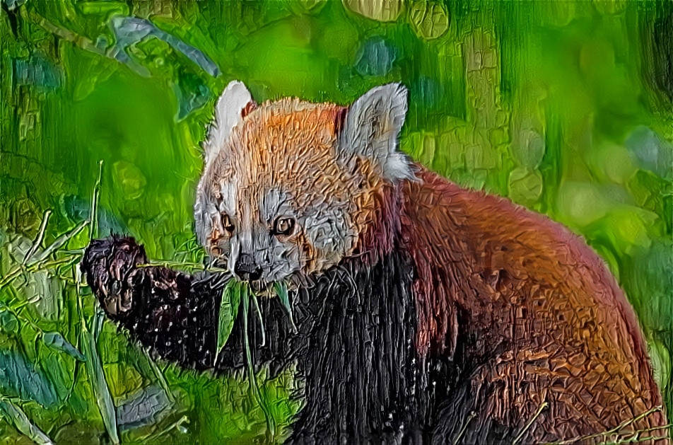 Red Panda