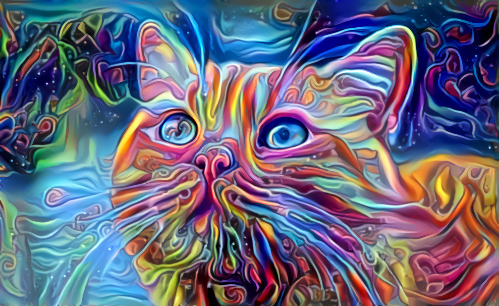 Tripcat