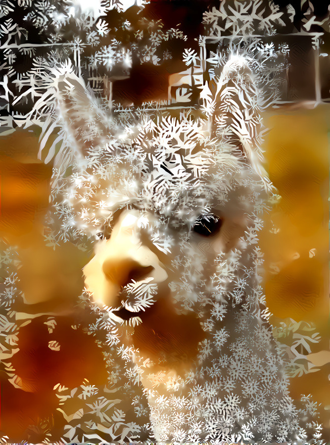 Alpaca