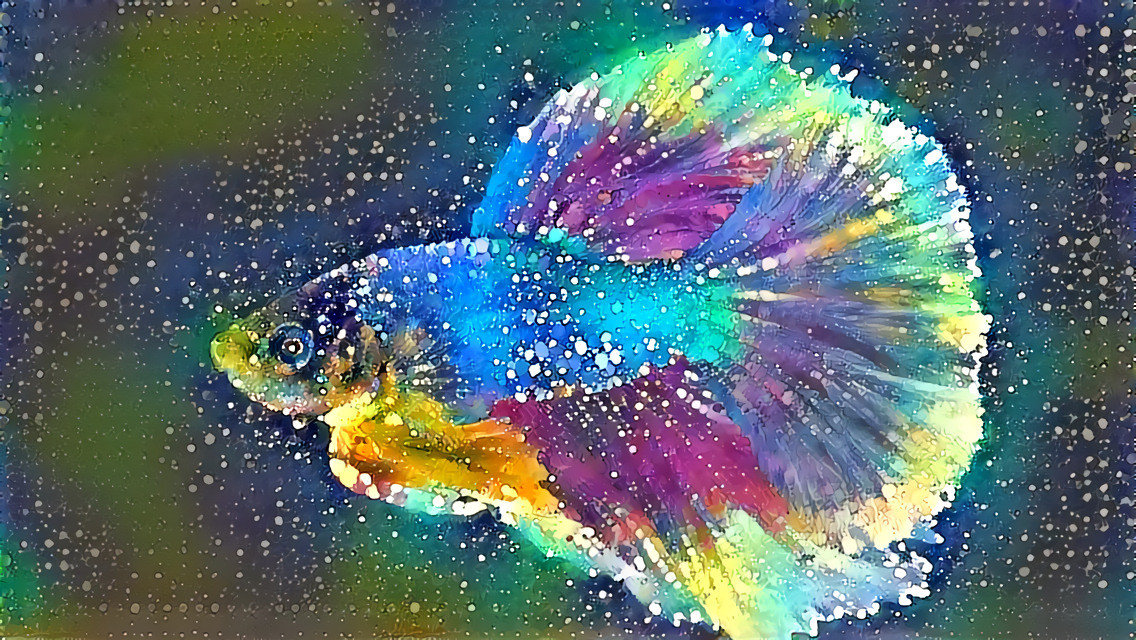 Dream Fish