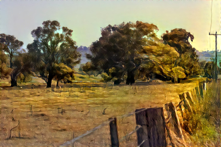 Red gums