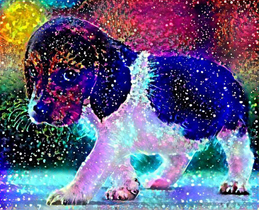 glitter pupy