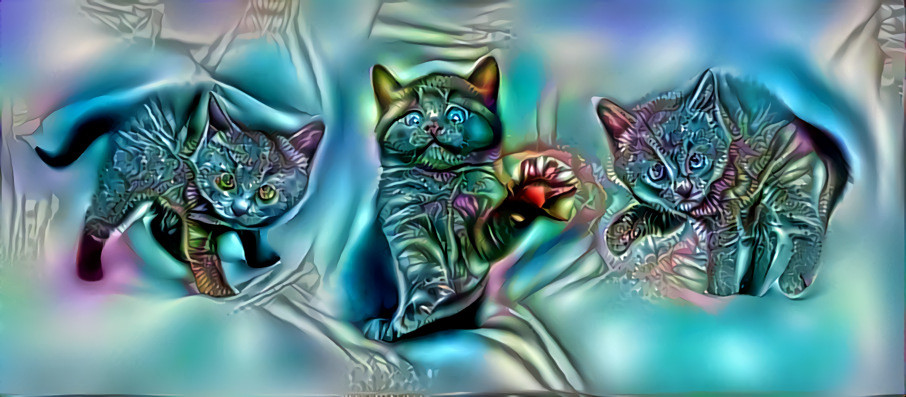 THE KITTENS OF GALAXY