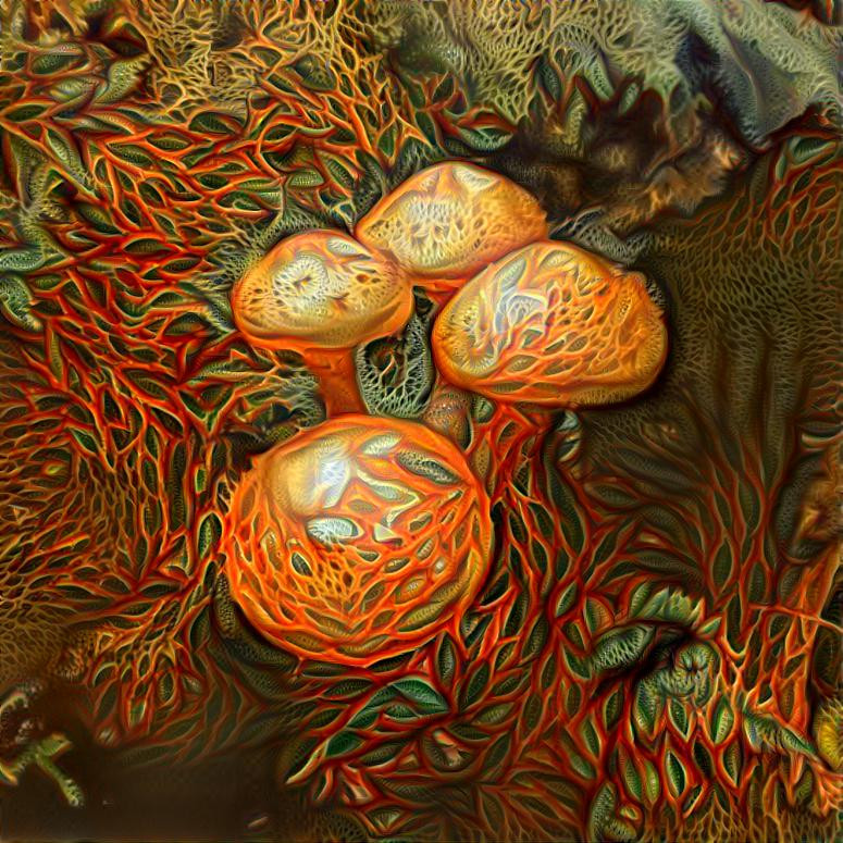 An orange bunch 