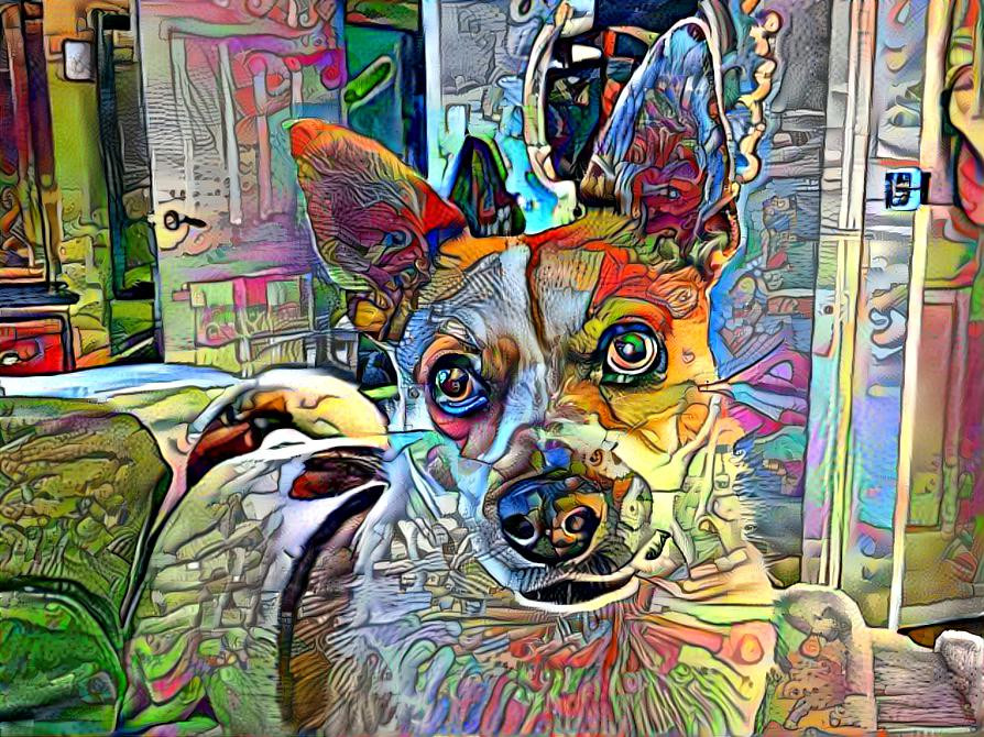 Wolfie Psychedelia