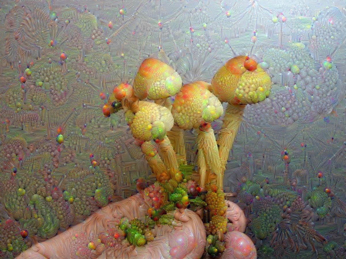 shroom