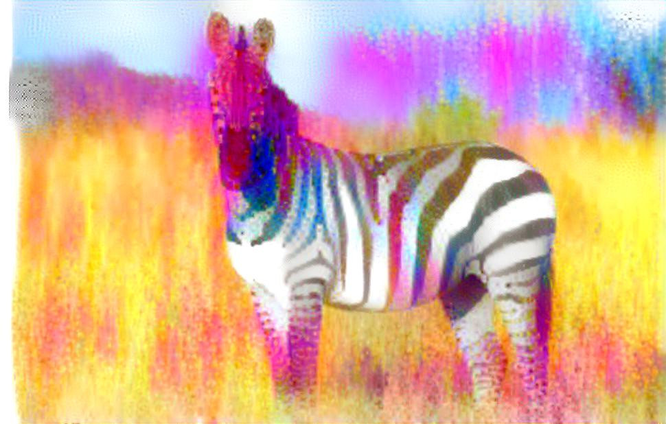 Colorful Zebra