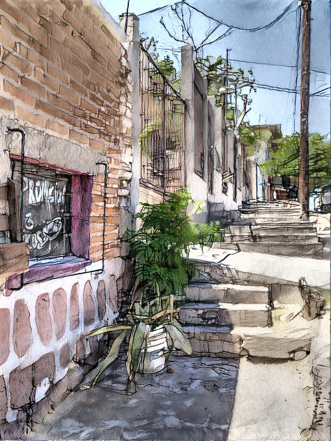 A palo de arco in the pavement