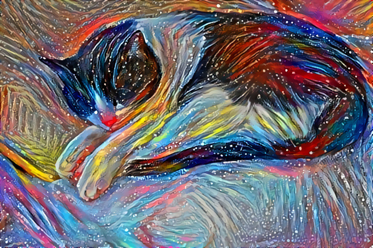 Cosmic cat