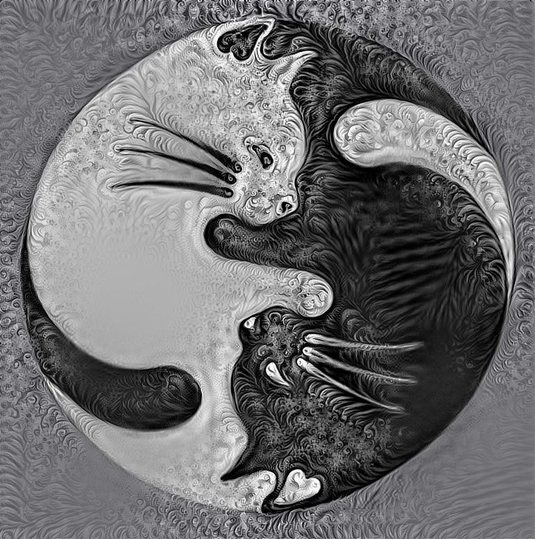 Yin Yang