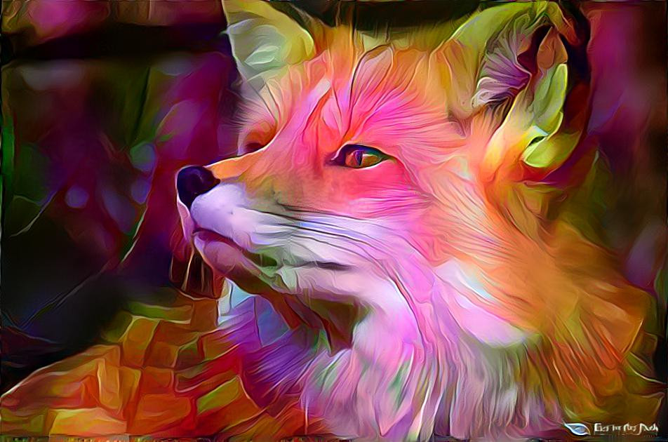 Fox