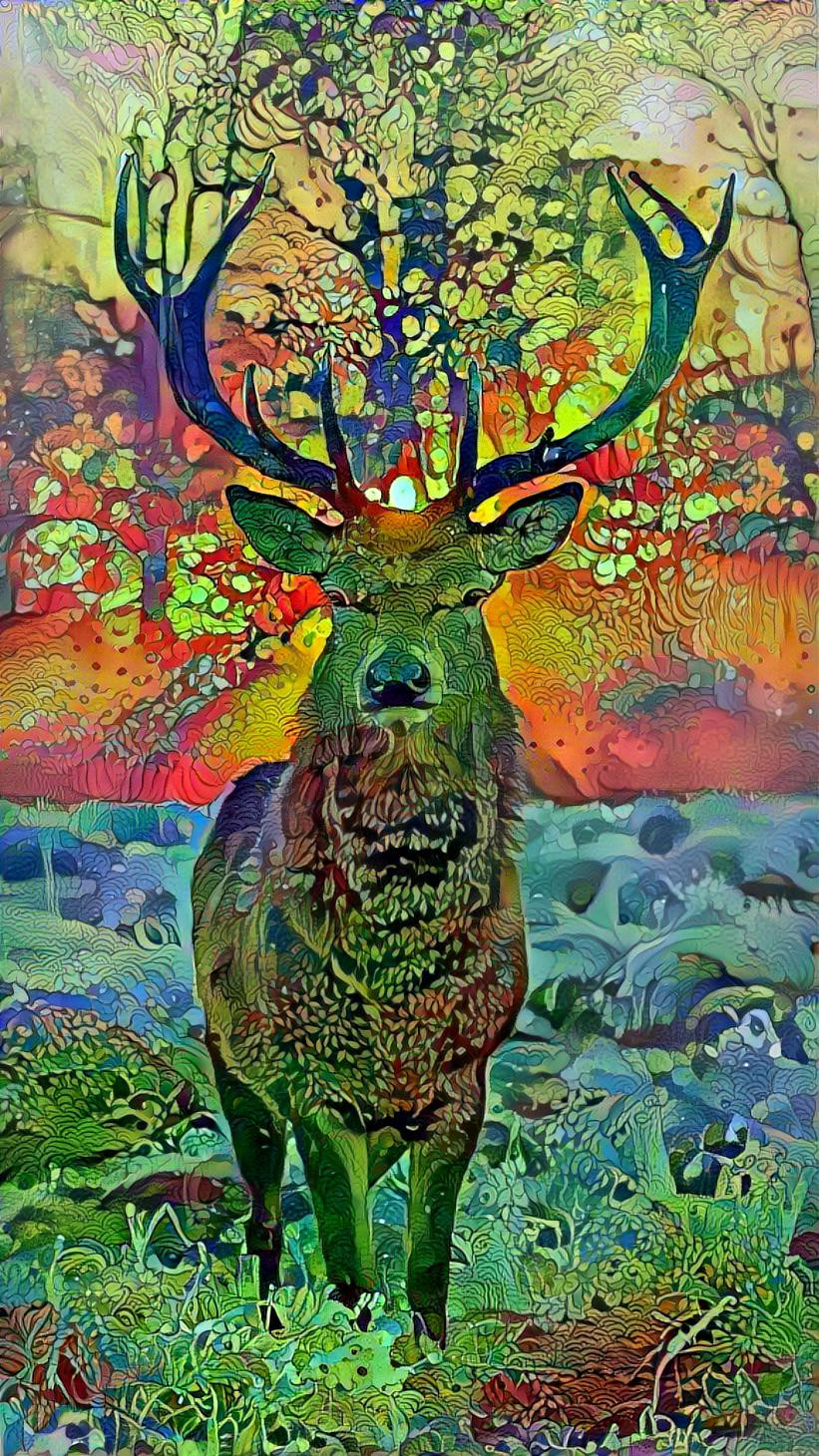 Cool Deer