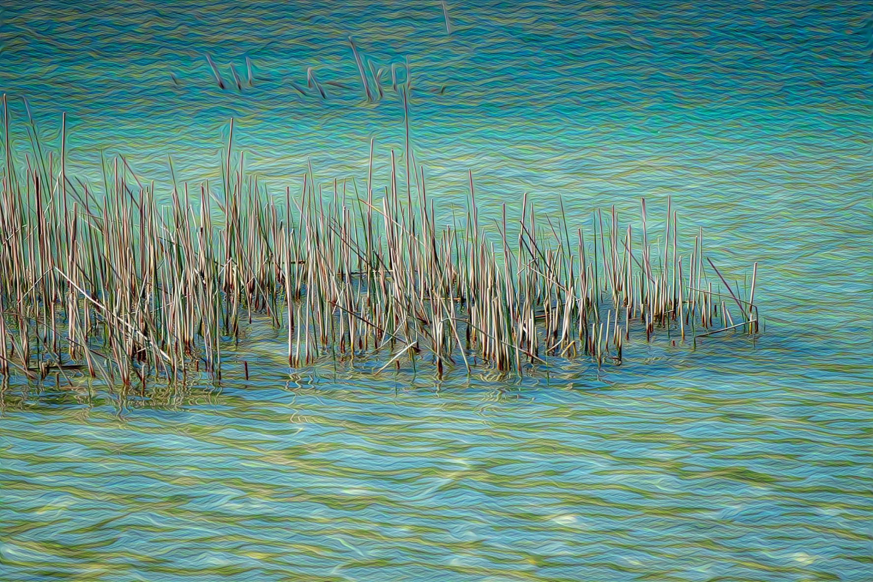 Blue Lake and Reeds