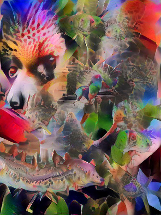 Deep Dream Re-Styled