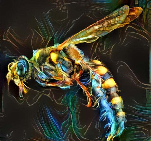 Mycinum maculatum wasp 1-01  (Unsplash by USGS)