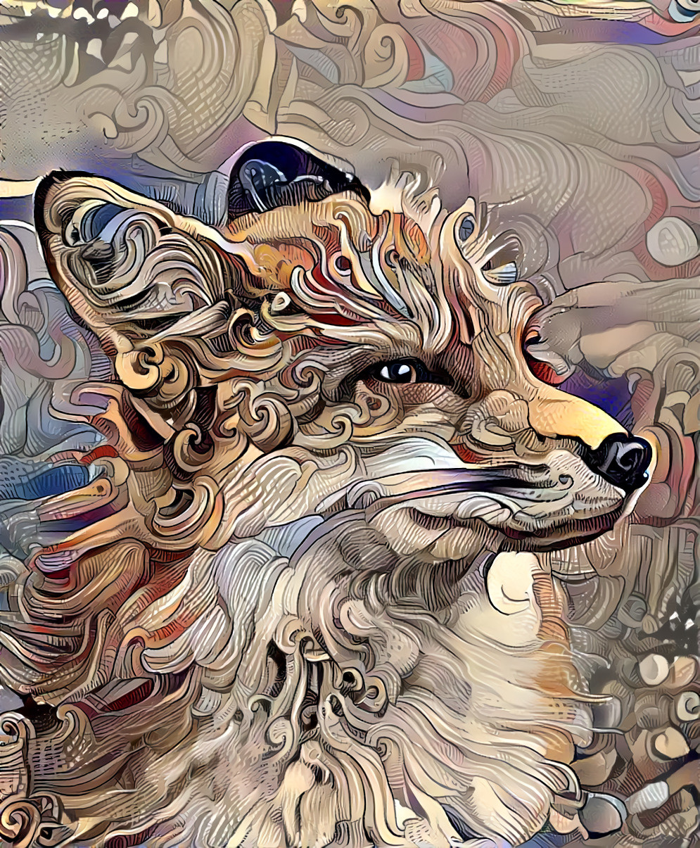 Curly fox