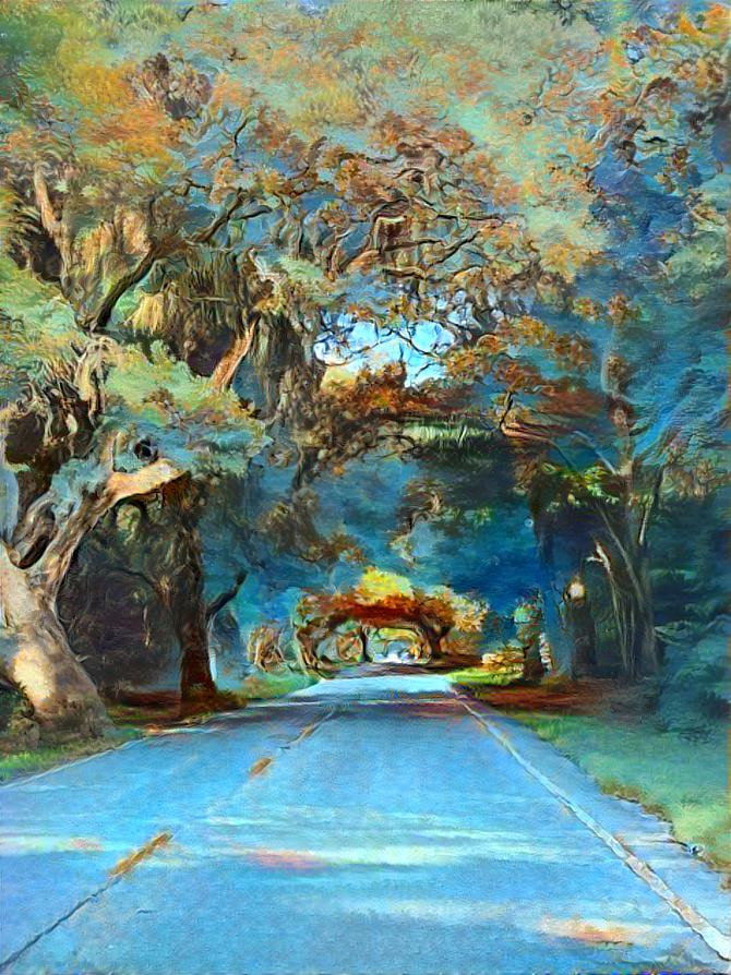 Edisto Mossy Road