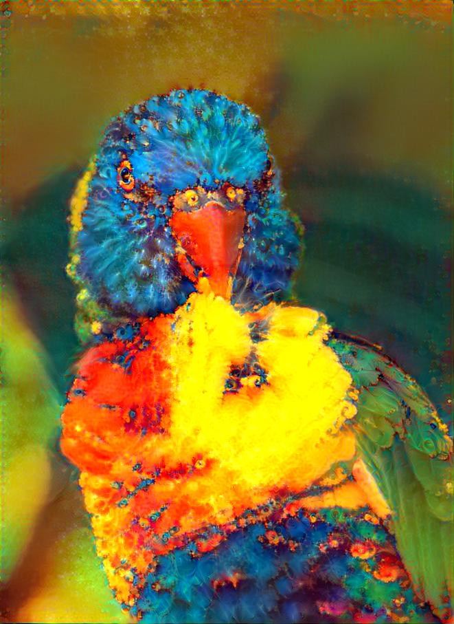 Rainbow Lorikeet