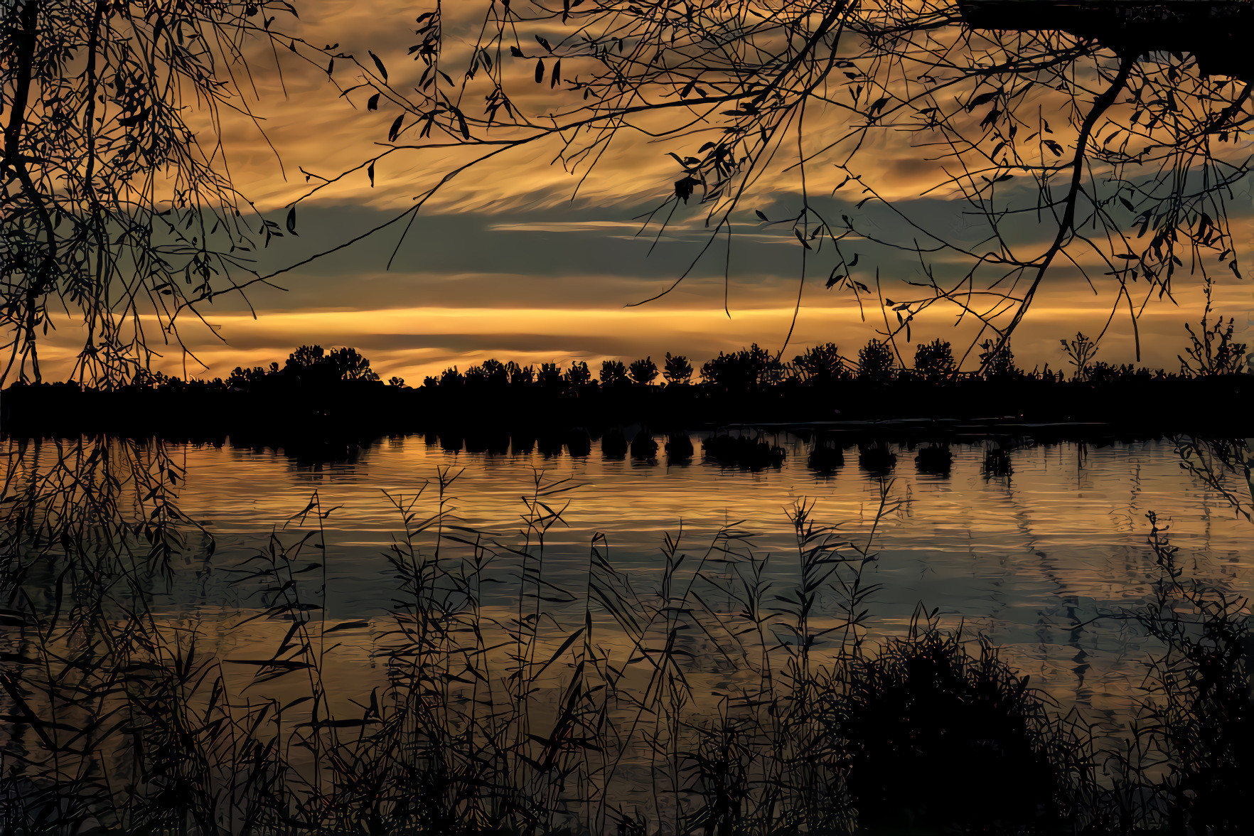 Lake, Forest, Sunset